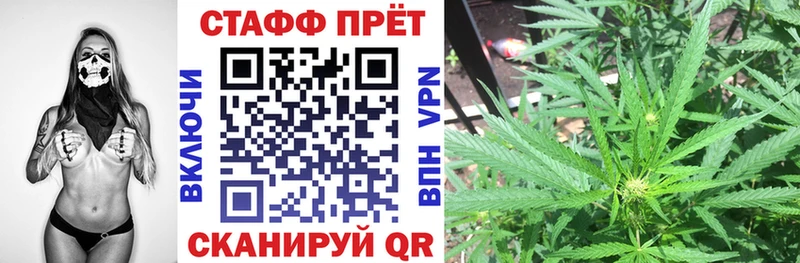 Магазины продажи наркотиков Новокузнецк Псилоцибиновые грибы  Кокаин  Гашиш  Меф  Марихуана 