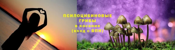 дурь Белоозёрский