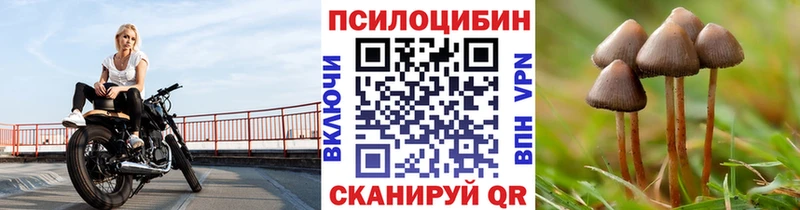 купить закладку  Новокузнецк  нарко площадка наркотические препараты  Галлюциногенные грибы Psilocybe 
