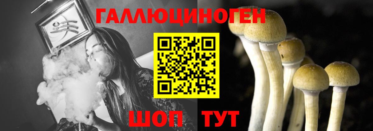 Псилоцибиновые грибы Cubensis  Вход с VPN  Новокузнецк 